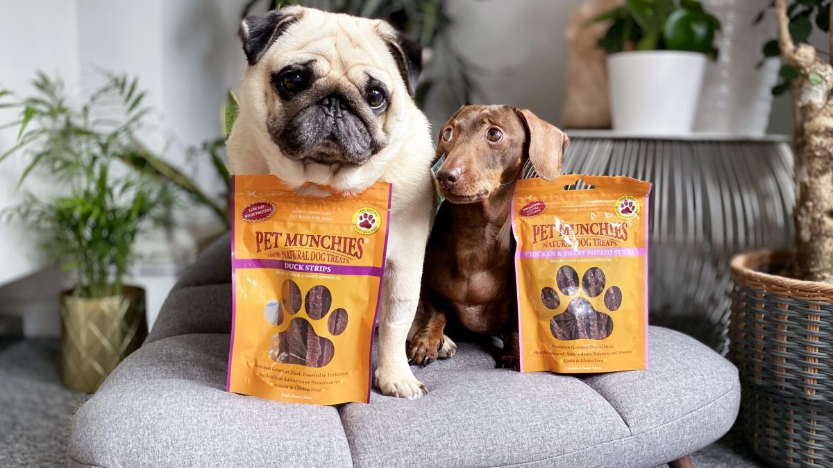 What Are Natural Dog Treats? Dr. Hannah Godfrey Explains
