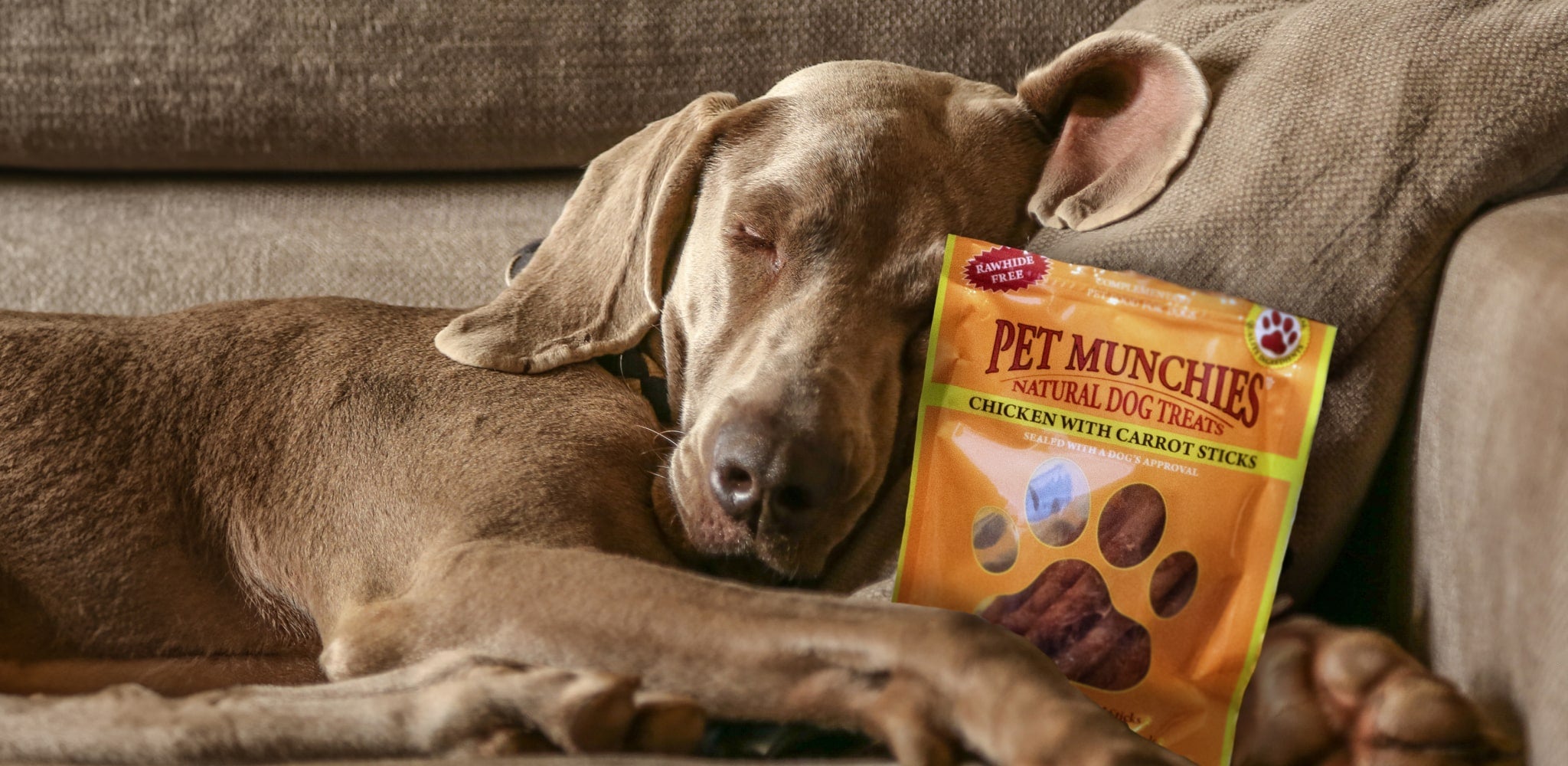 All Natural Healthy Dog Treats