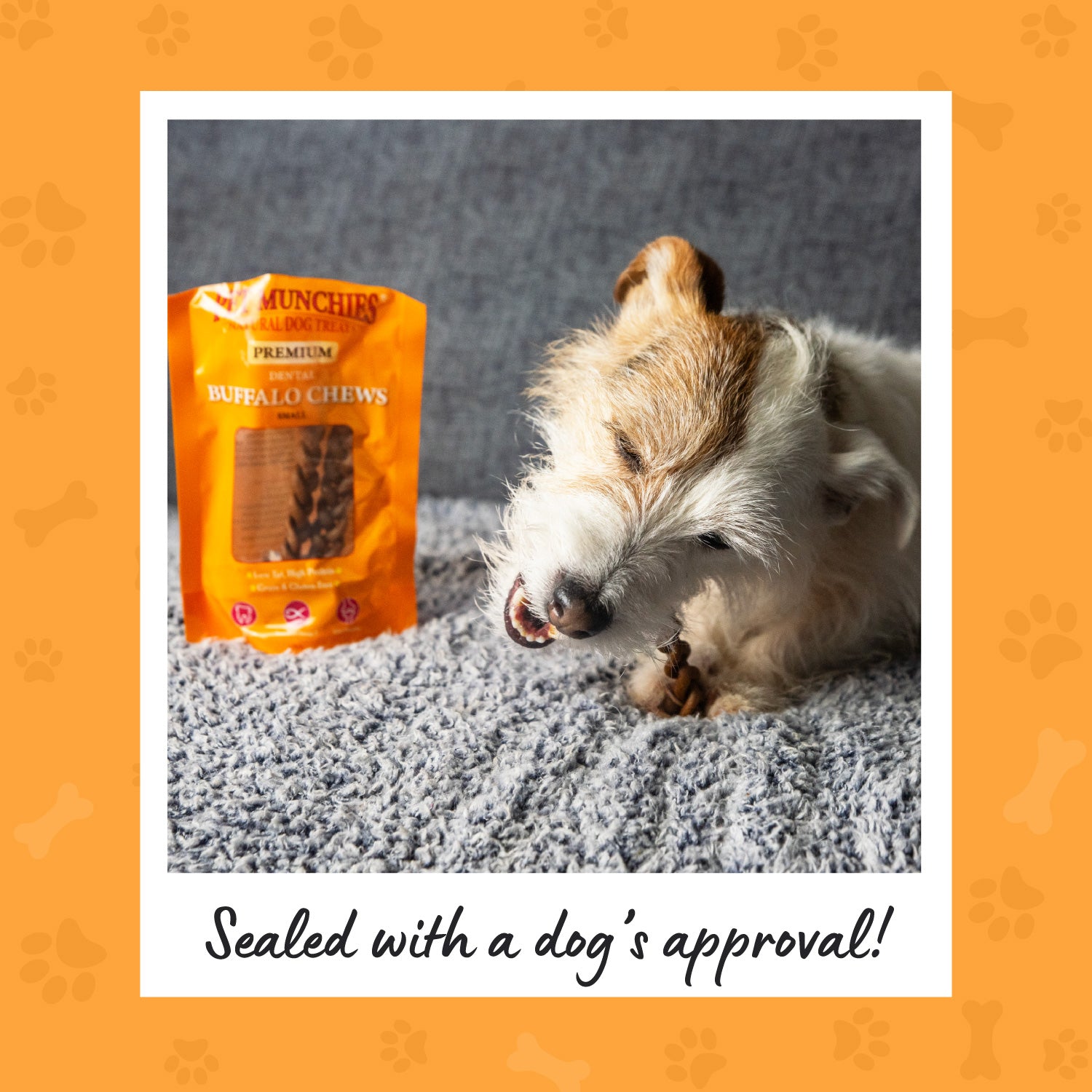 Pet Munchies Small Dental Buffalo Dog Chews 55g (4 chews) - 1 or 8 Pack Dental Chews