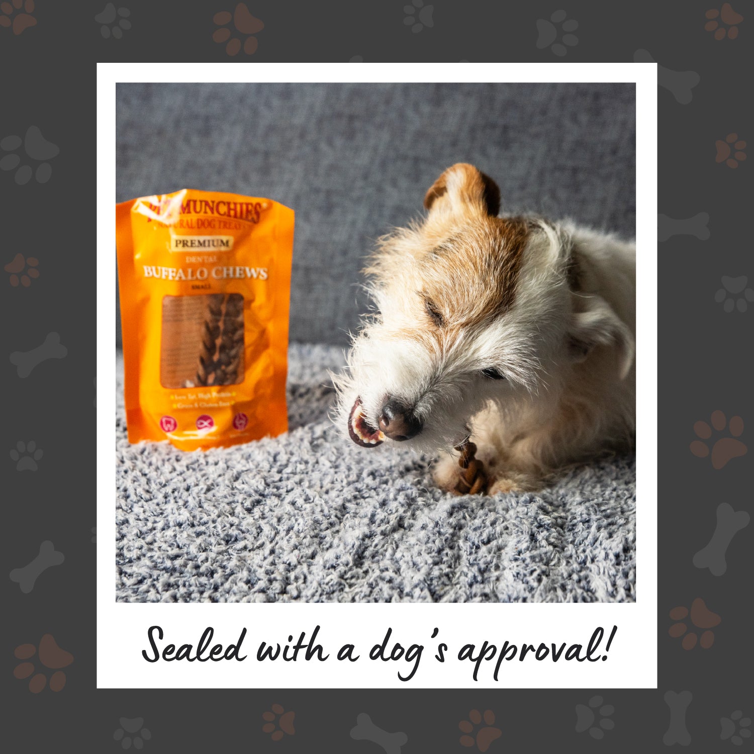 Pet Munchies Small Dental Buffalo Dog Chews 55g (4 chews) - 1 or 8 Pack Dental Chews
