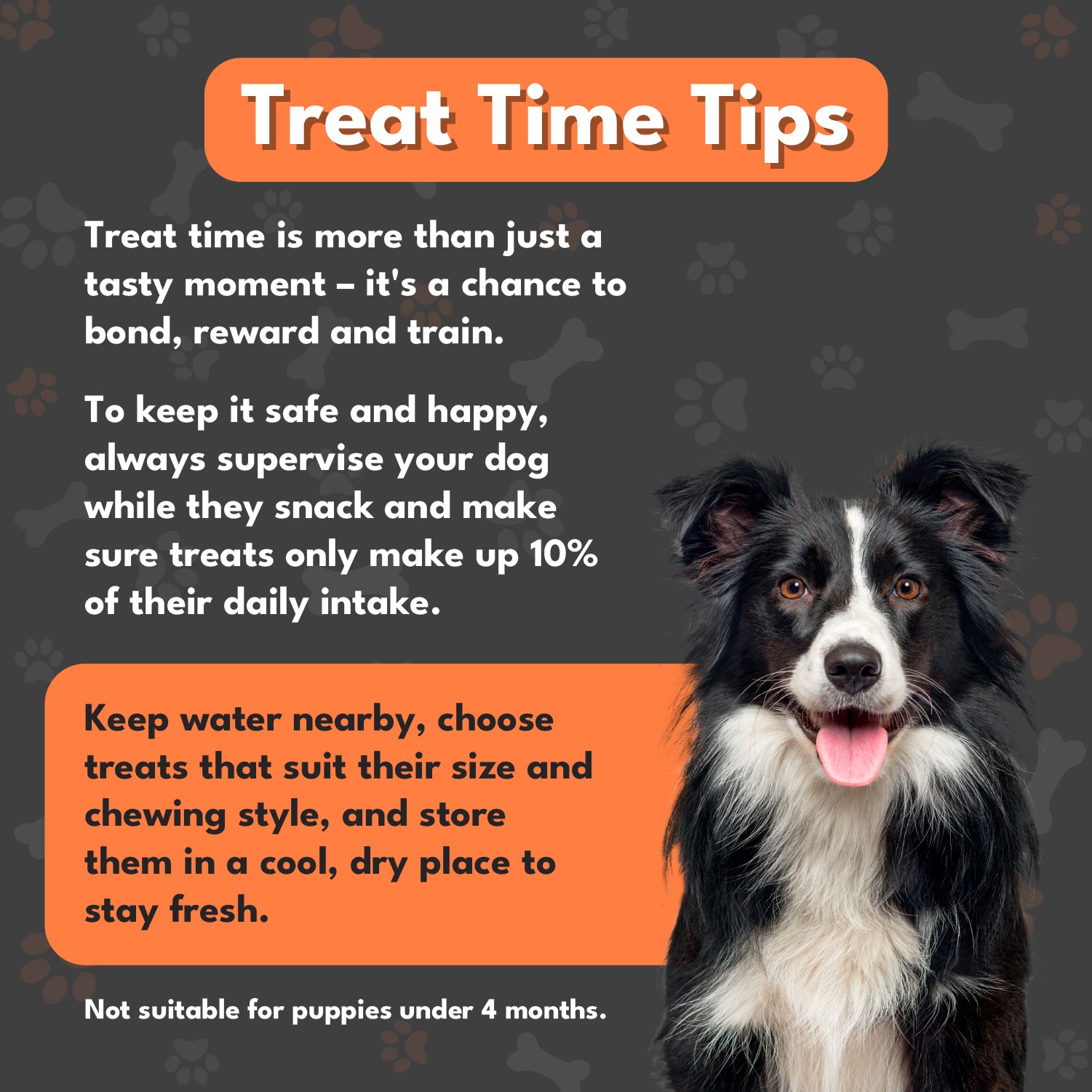 Pet Munchies Chicken and Cheese Dog Treats 100g - 1 or 8 Pack Sticks, Strips & Twists