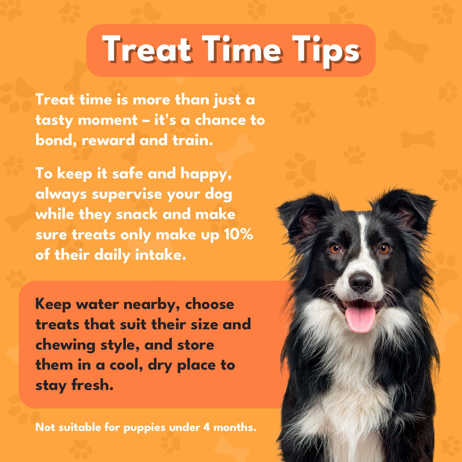 Pet Munchies Duck Dog Training Treats 50g - 1 or 8 Pack Training