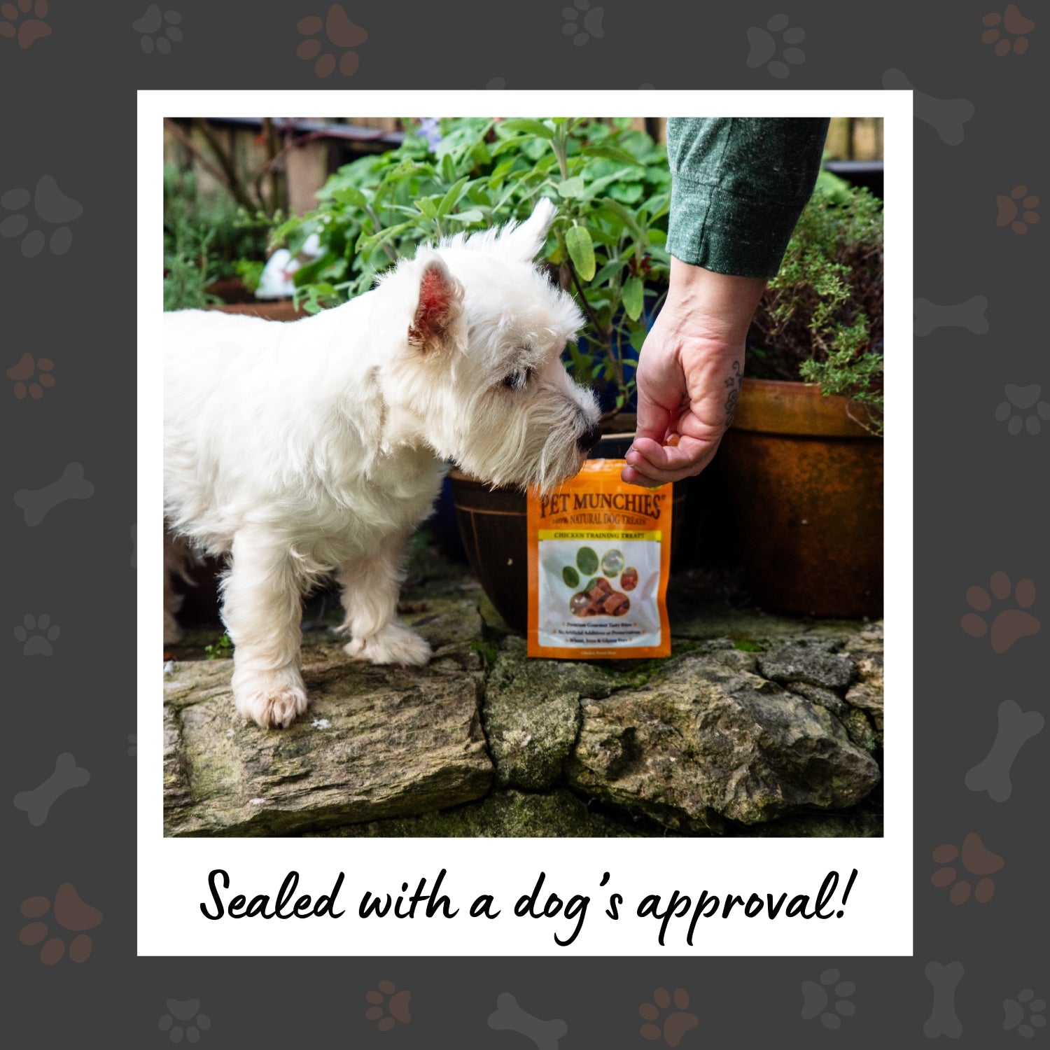 Pet Munchies Chicken Dog Training Treats 50g - 1 or 8 Pack Training