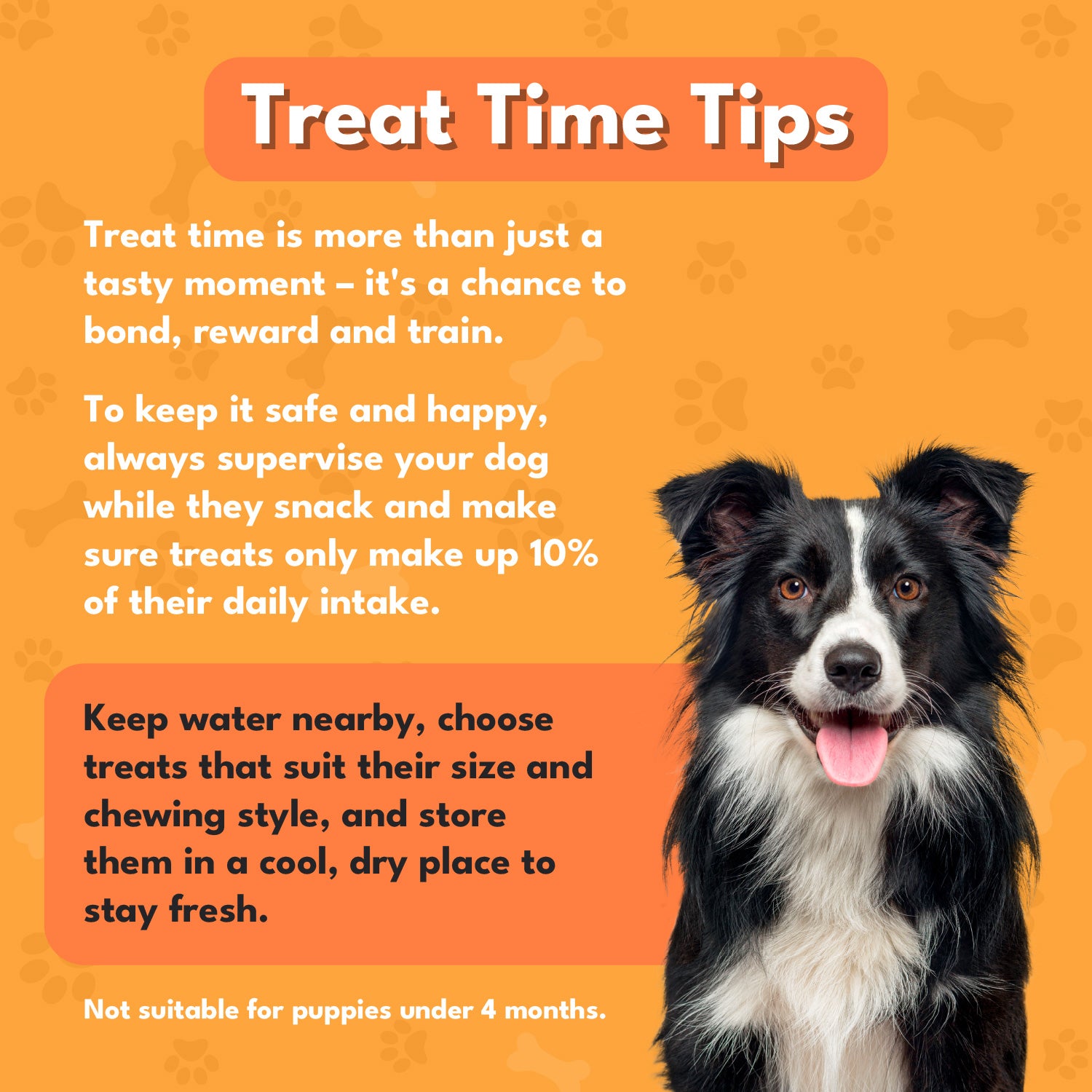 Pet Munchies Wild Salmon and Sweet Potato Dog Treats 90g - 1 or 8 Pack Sticks, Strips & Twists