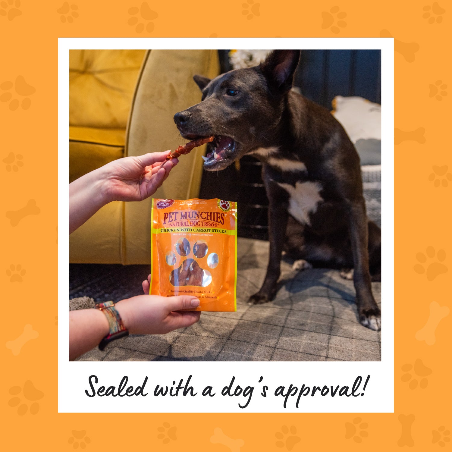 Pet Munchies Chicken with Carrot Sticks Dog Treats 80g - 1 or 8 Pack Sticks, Strips & Twists