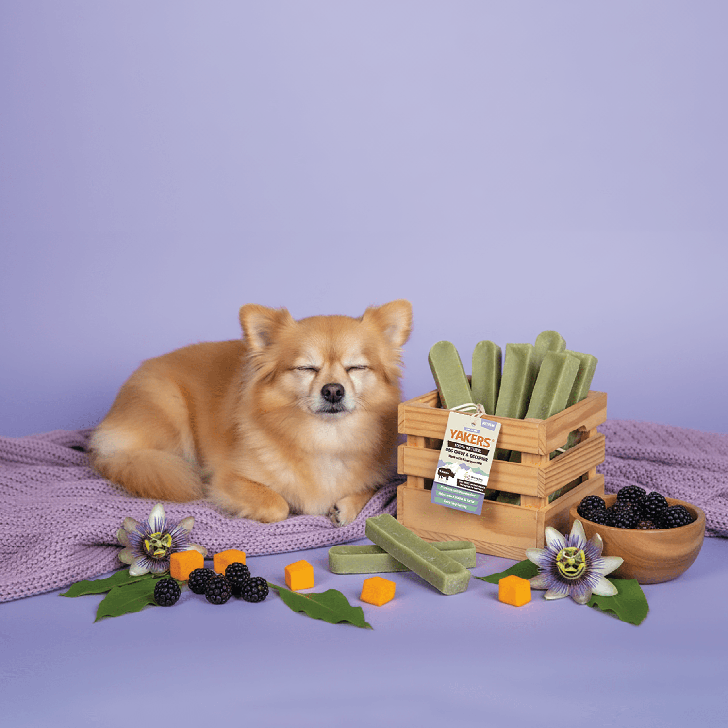 YAKERS Calming Dog Chew