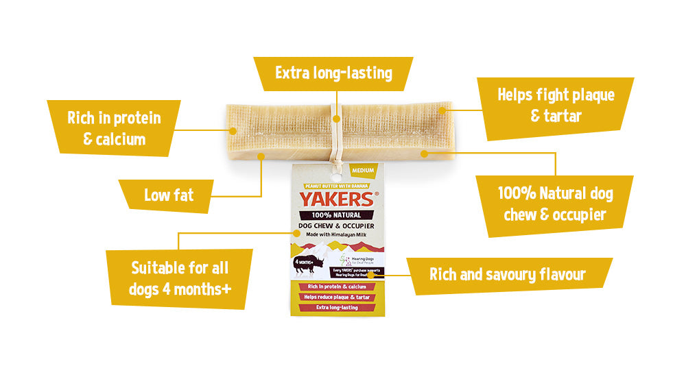 YAKERS Peanut Butter & Banana Dog Chew