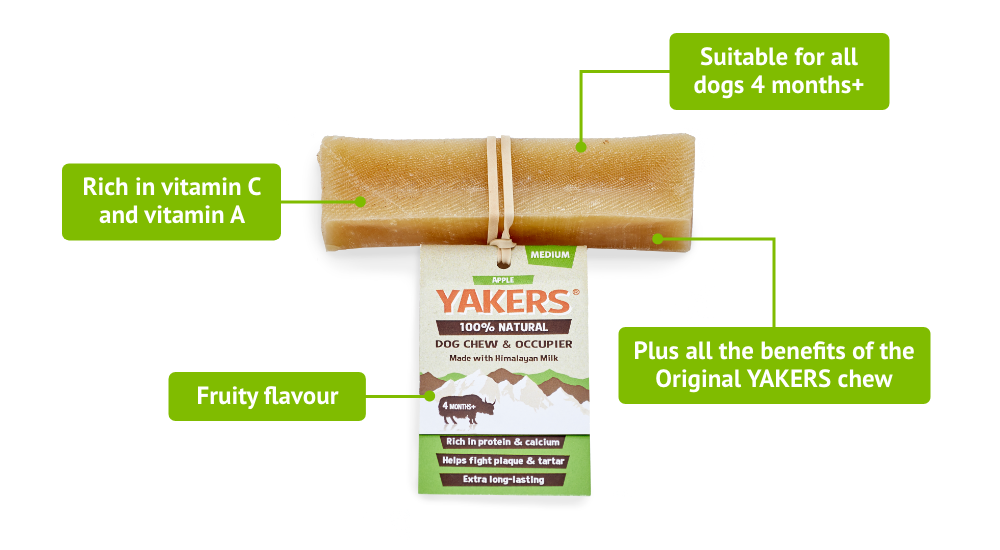 YAKERS Apple Dog Chew