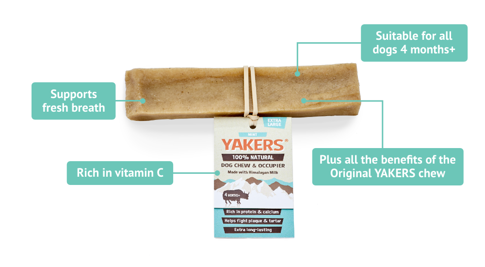 YAKERS Mint Dog Chew