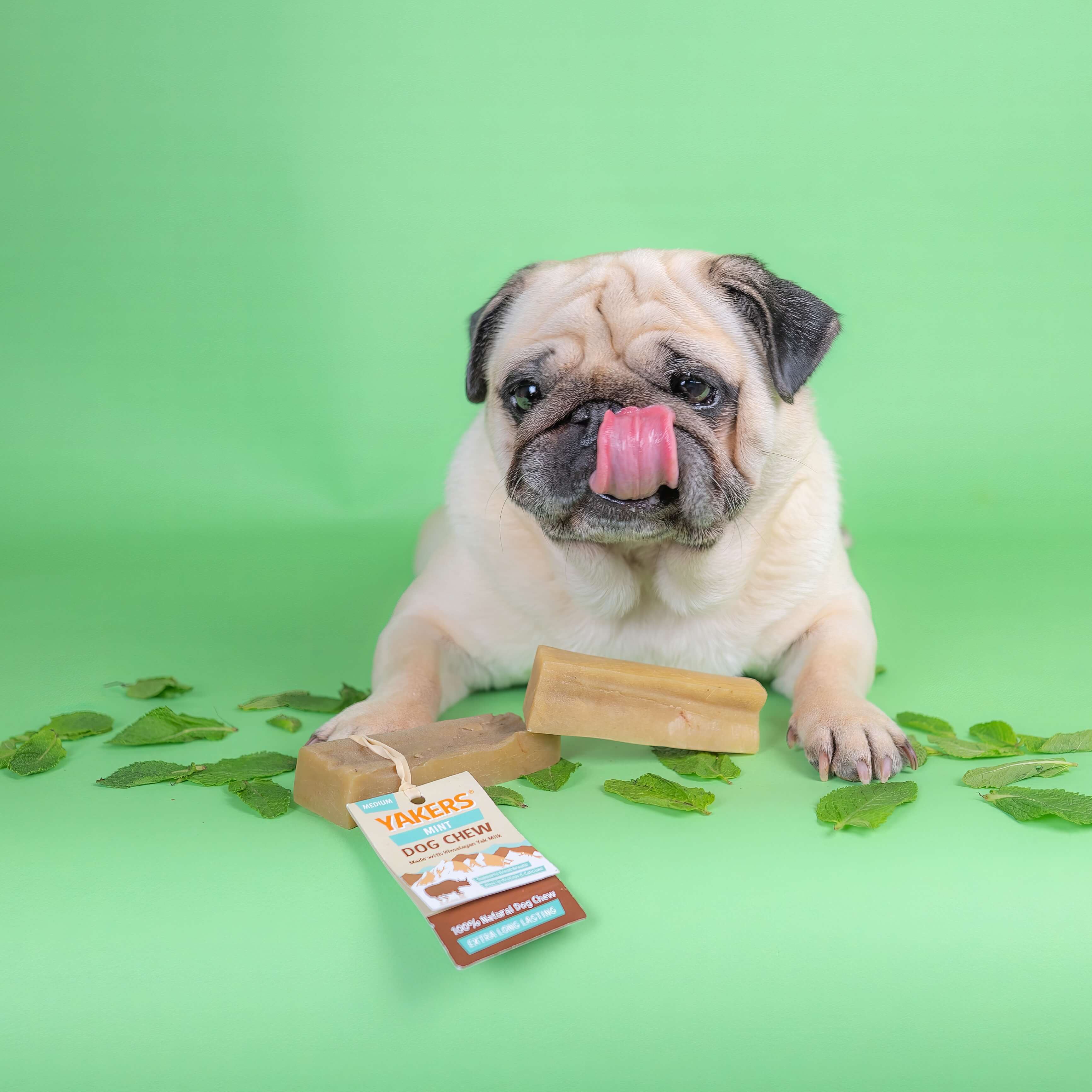 YAKERS Mint Dog Chew