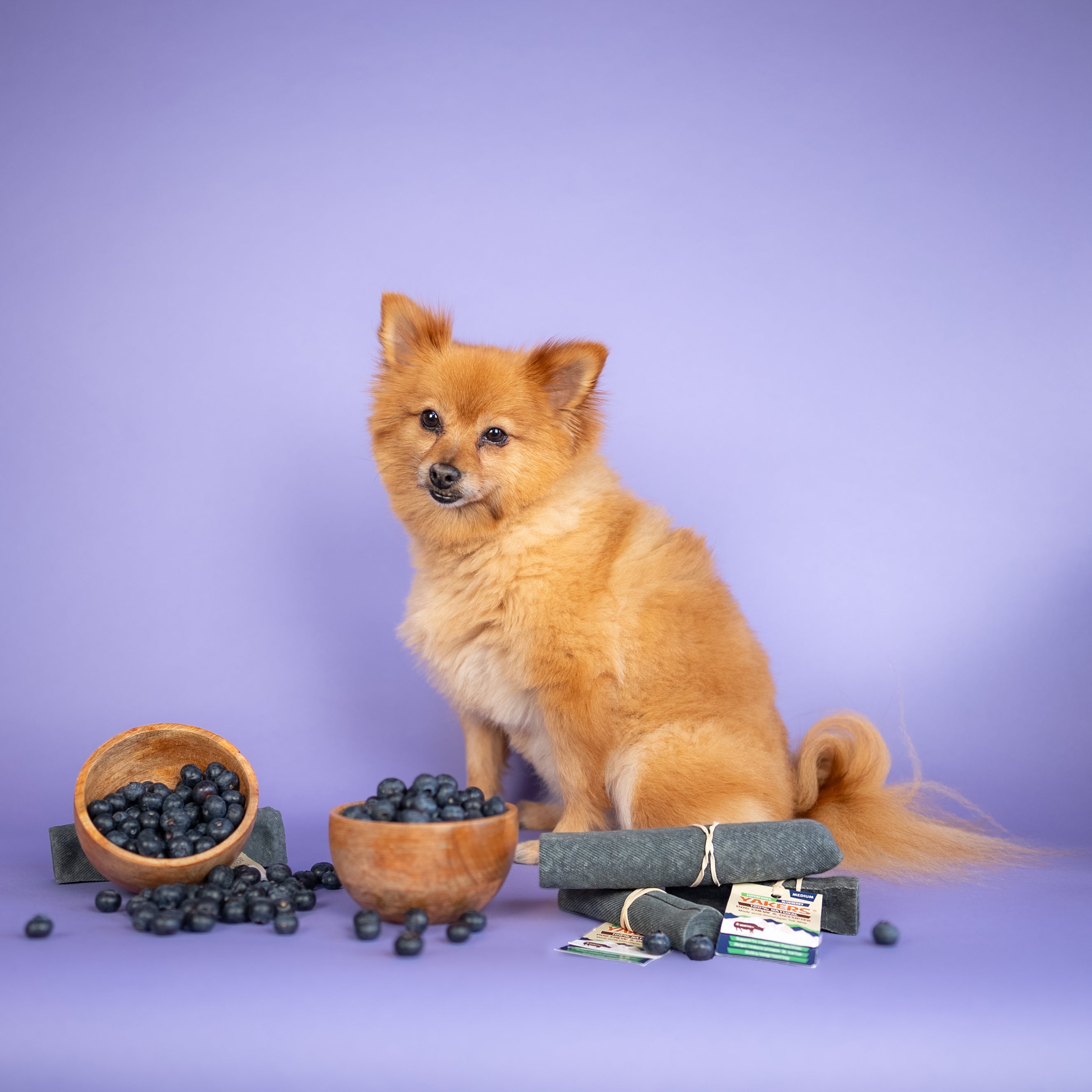 YAKERS Blueberry Dog Chew