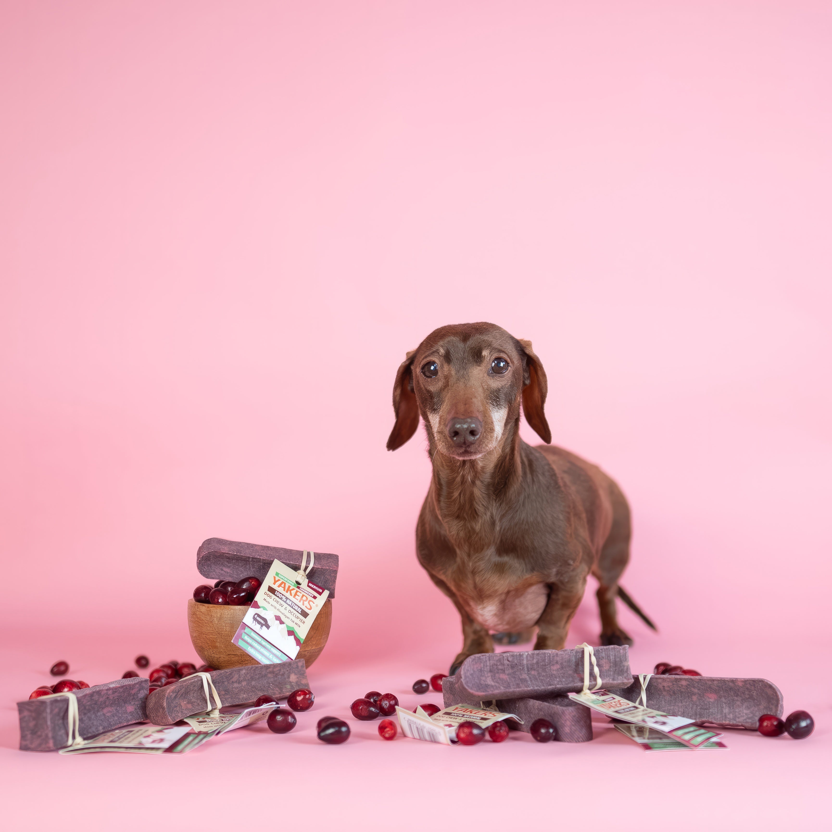 YAKERS Cranberry Dog Chew