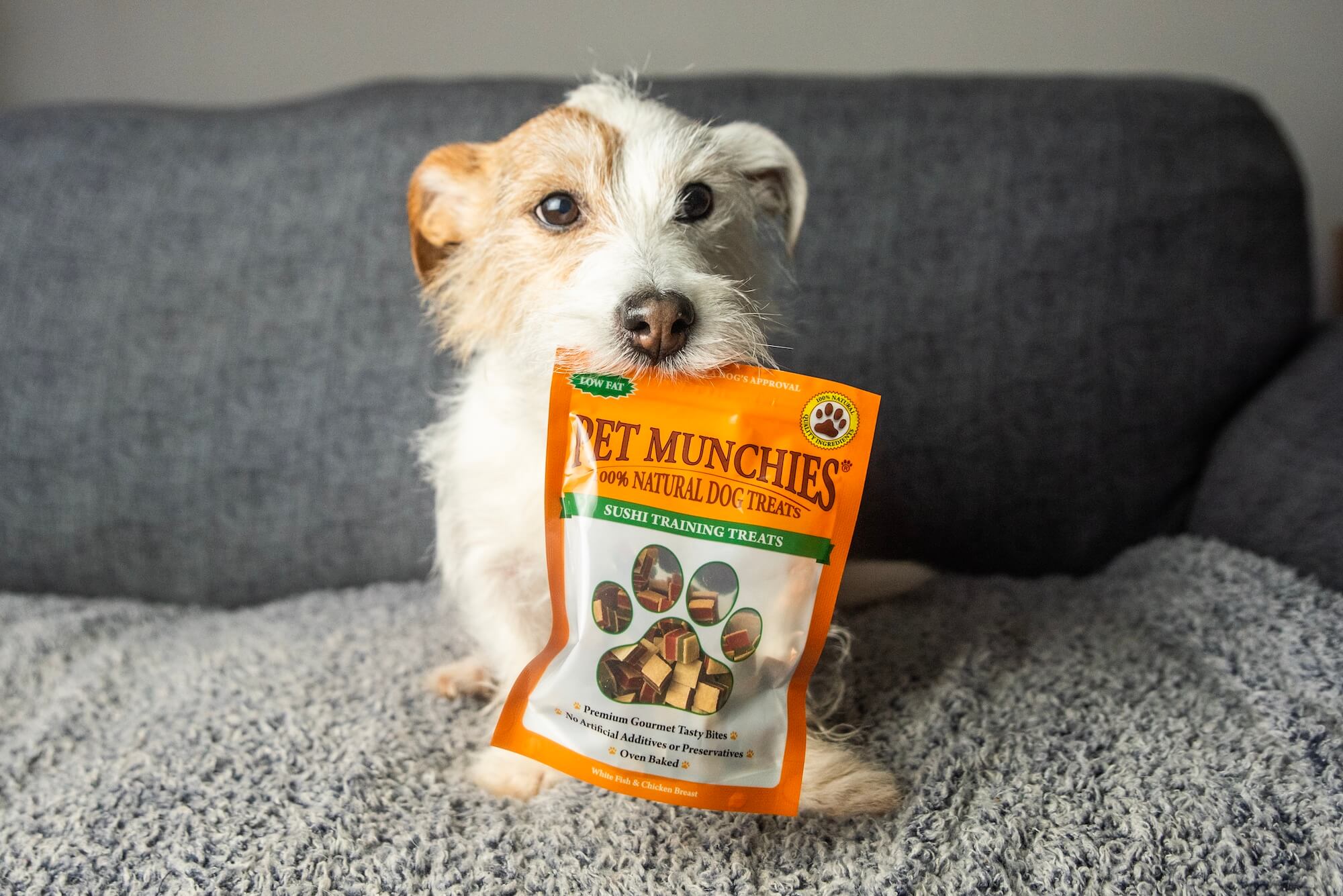 Why Use Treats With Your Dog? The Benefits of Training Treats