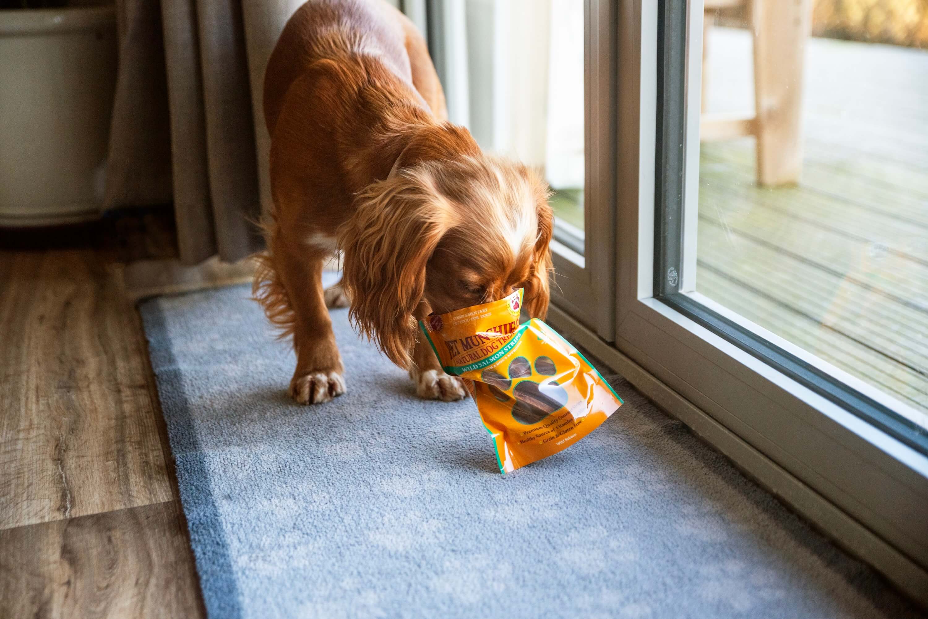 Sticks, Strips & Twists