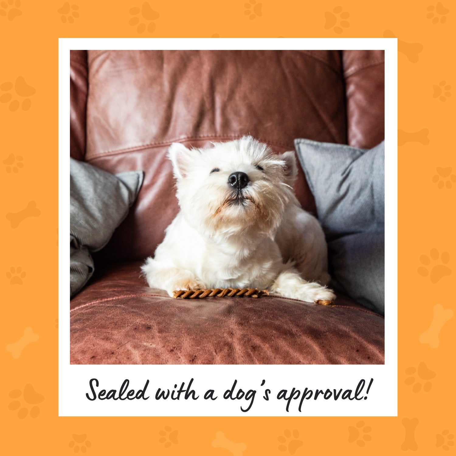 Pet Munchies Large Dental Buffalo Dog Chews 90g - 1 or 8 Pack Dental Chews