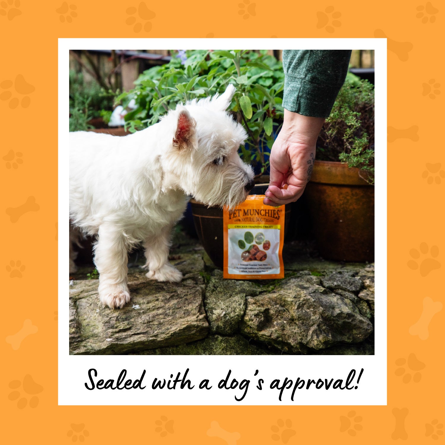 Pet Munchies Chicken Dog Training Treats 50g - 1 or 8 Pack Training