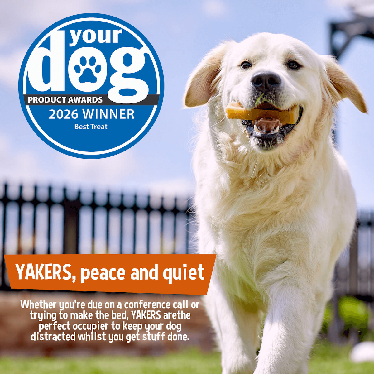 YAKERS Peanut Butter & Banana Dog Chew