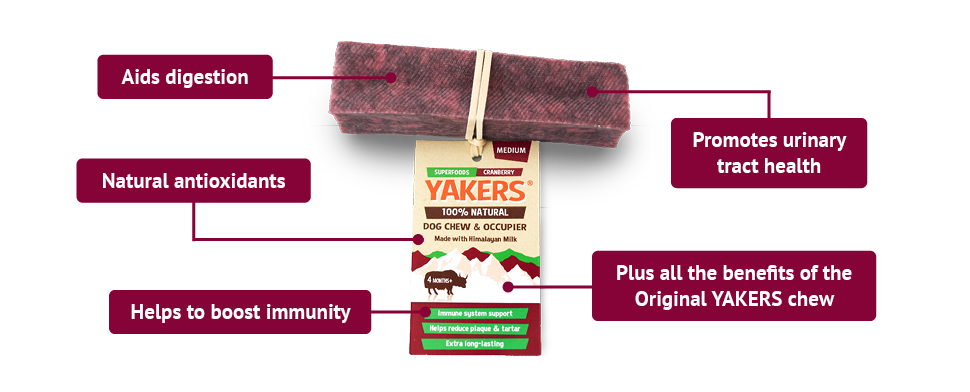 YAKERS Cranberry Dog Chew