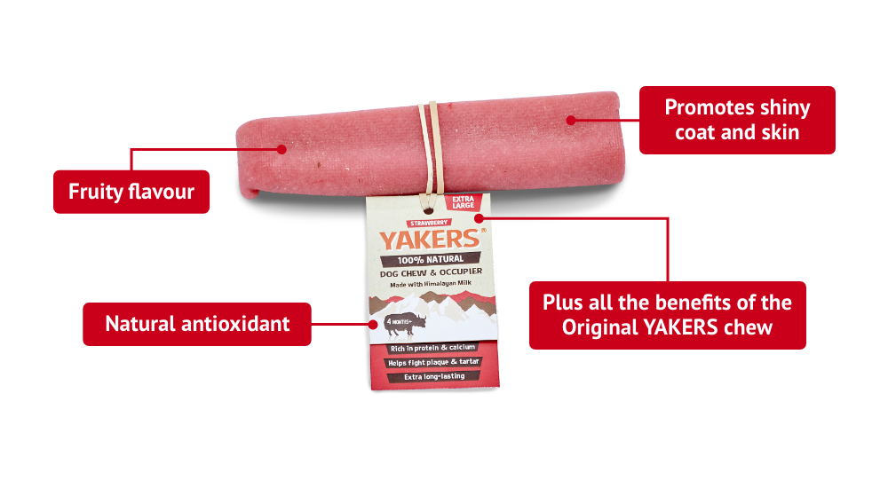 YAKERS Strawberry Dog Chew