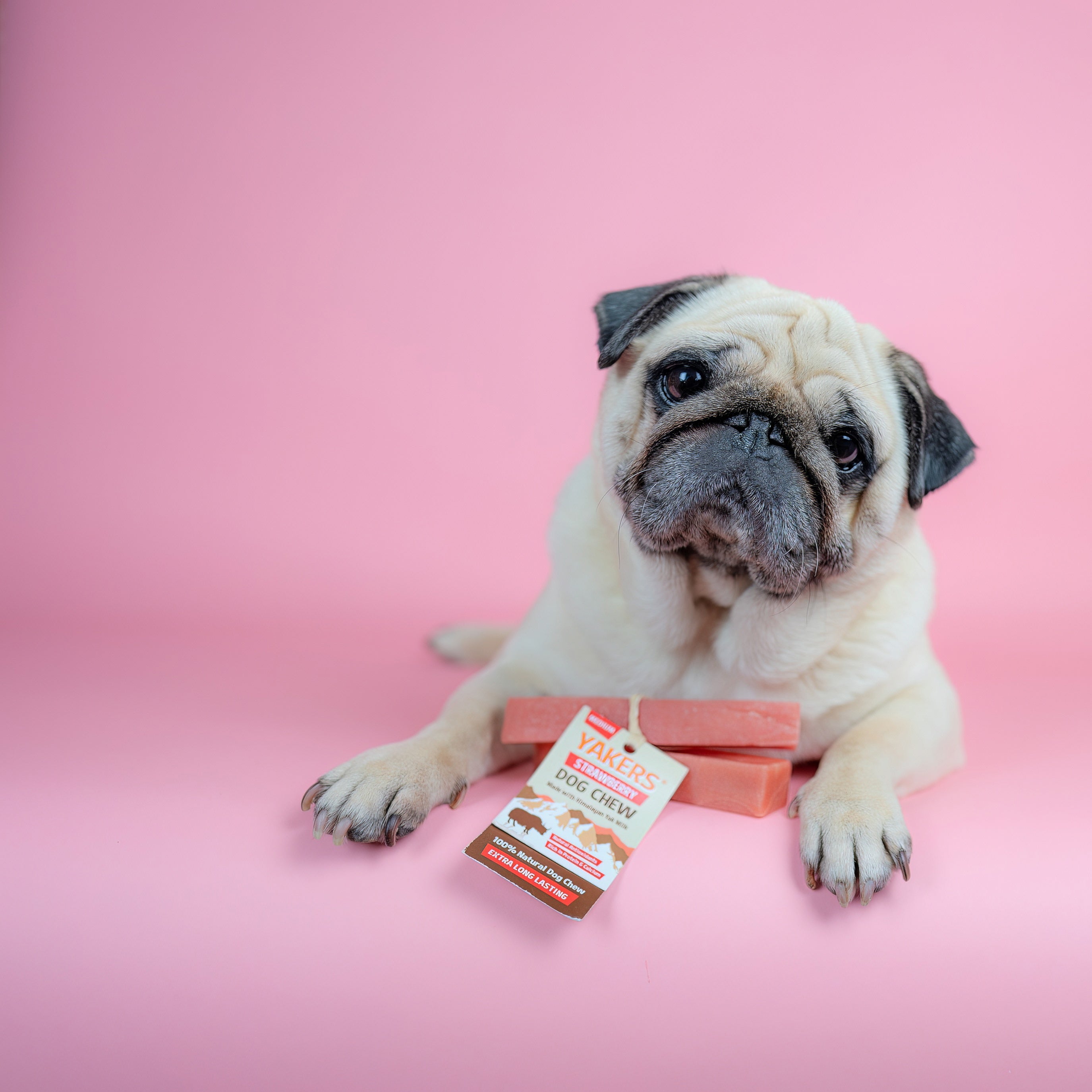 YAKERS Strawberry Dog Chew